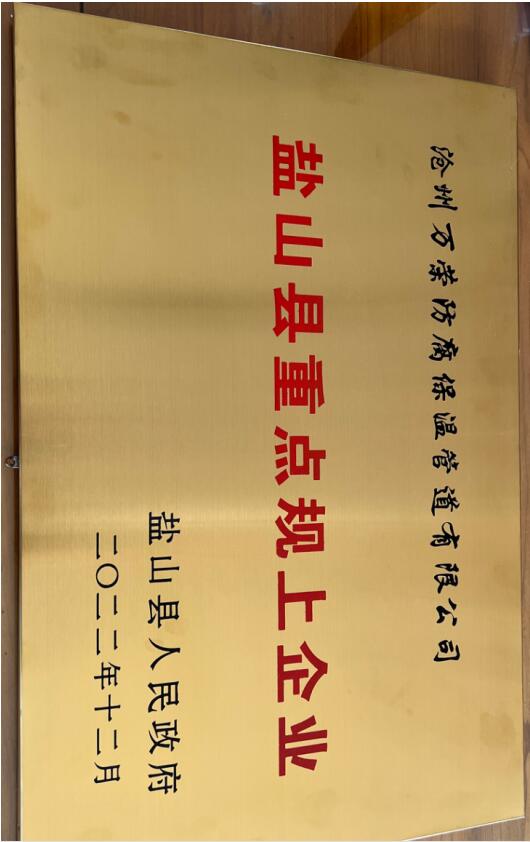 盐山县重点规上企业